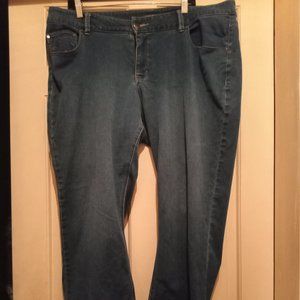 Lee Riders Womens jeans 18wp embroidered floral pocket slenderizing fit